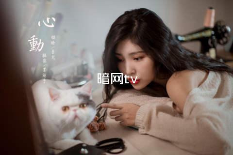 暗网tv